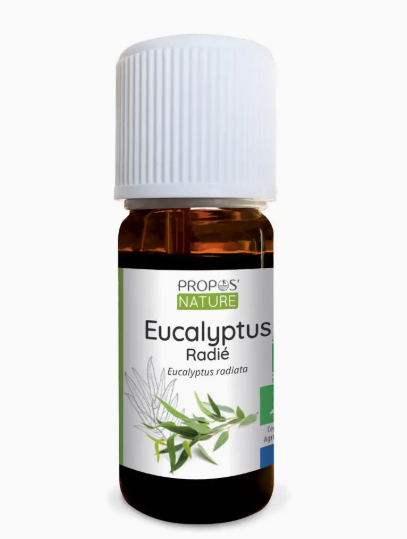 Huile Essentielle Bio Eucalyptus Radié 10ml – Diffuseur & Bien-être