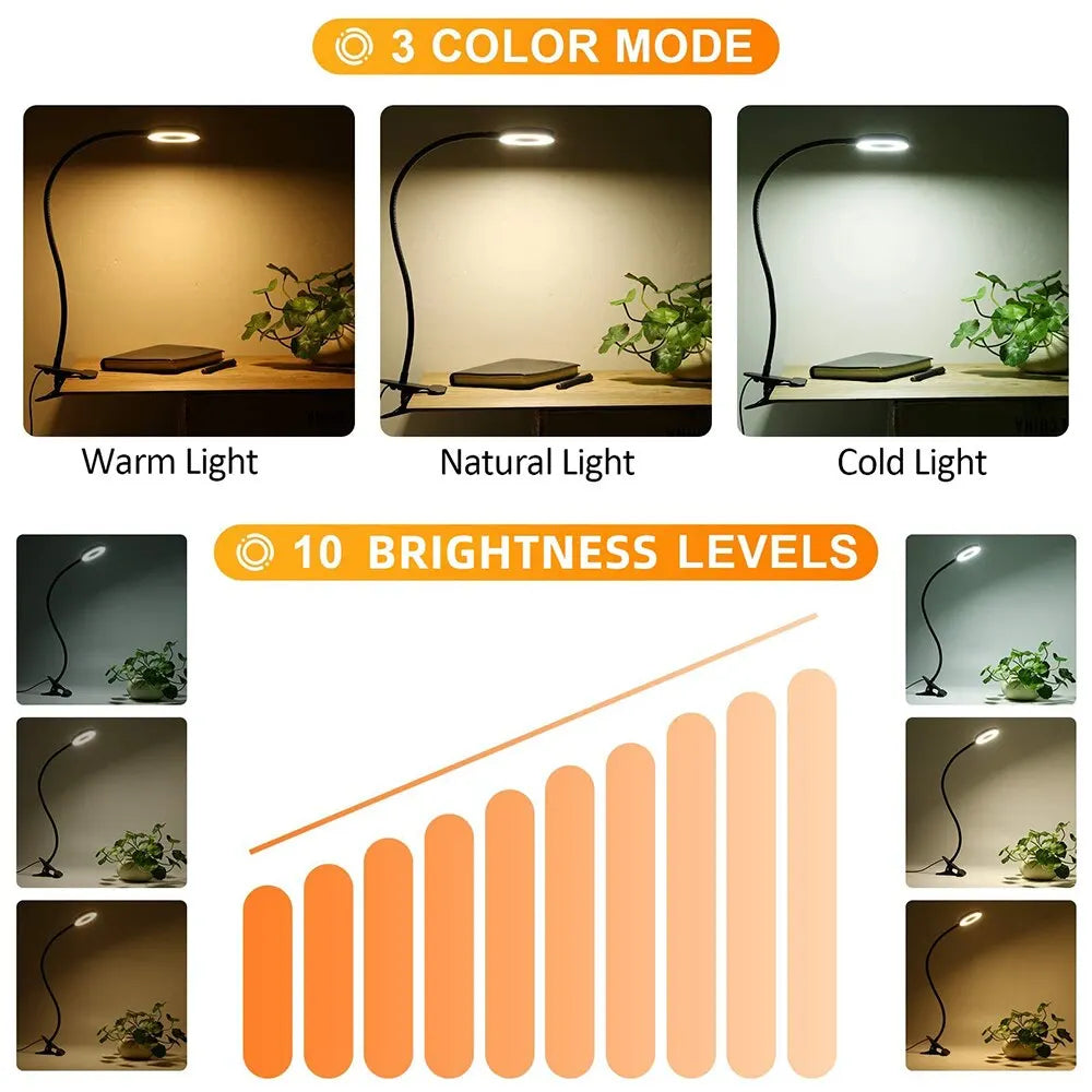 Lampe LED Rechargeable – Confort Visuel & USB