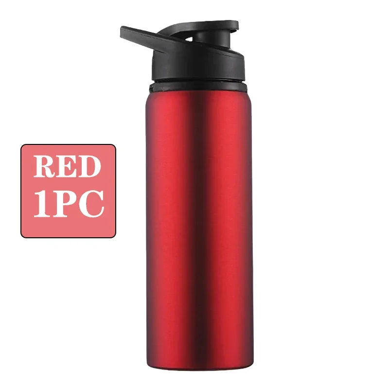 Bouteille Métal 750ml – Anti-Fuite, Outdoor & Réutilisable