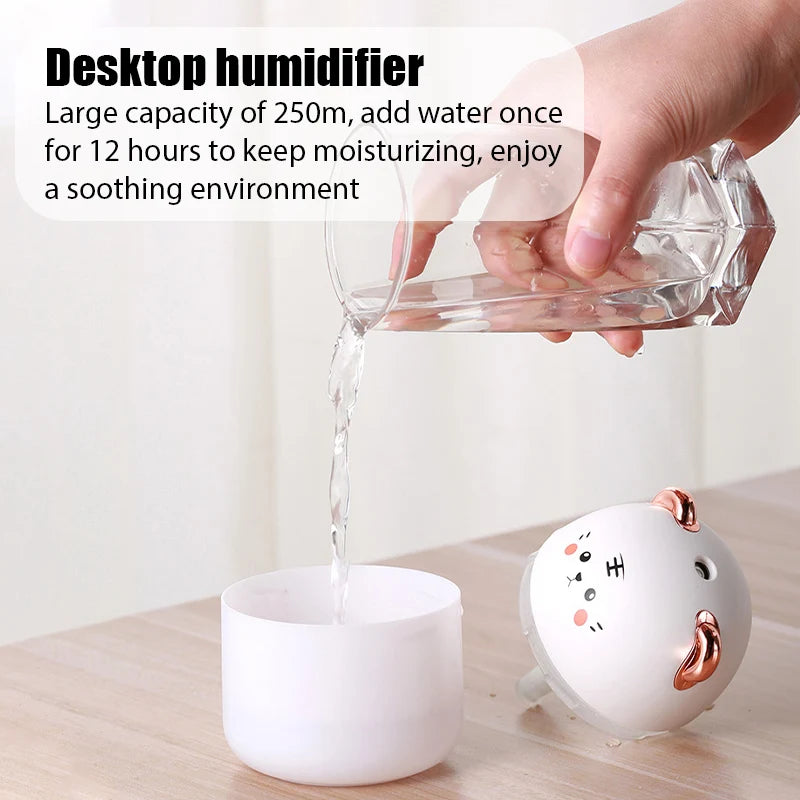 Mini Humidificateur USB 250ML – Brume & Arômes