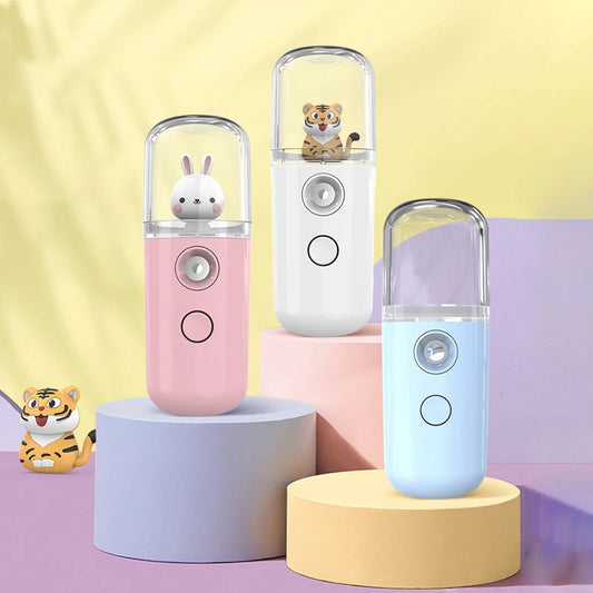 Pulvérisateur Facial USB Rechargeable