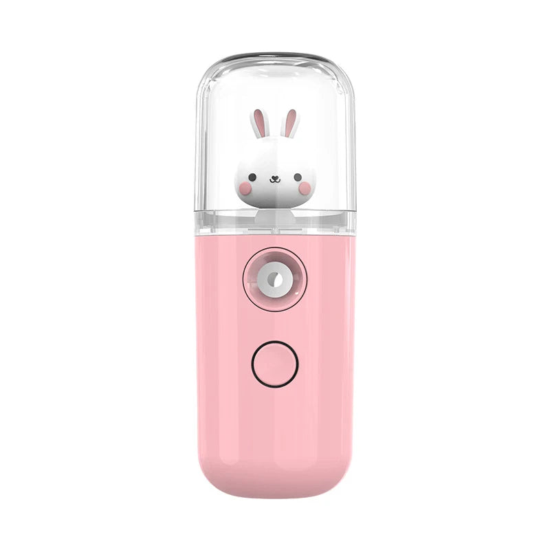Pulvérisateur Facial USB Rechargeable