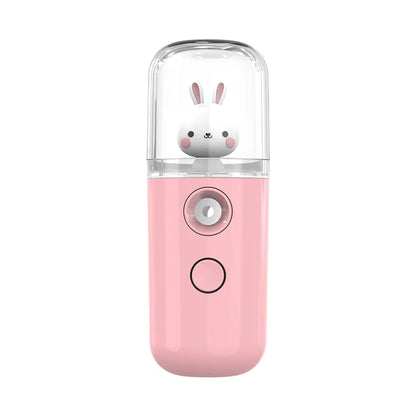 Pulvérisateur Facial USB Rechargeable