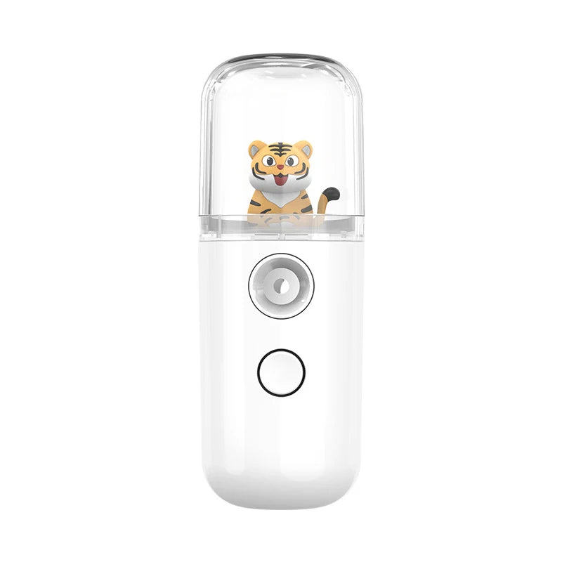 Pulvérisateur Facial USB Rechargeable