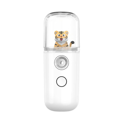 Pulvérisateur Facial USB Rechargeable