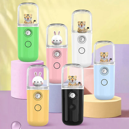 Pulvérisateur Facial USB Rechargeable