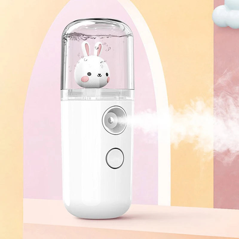 Pulvérisateur Facial USB Rechargeable