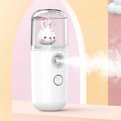 Pulvérisateur Facial USB Rechargeable