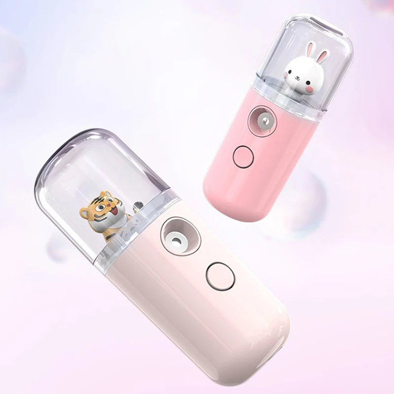 Pulvérisateur Facial USB Rechargeable
