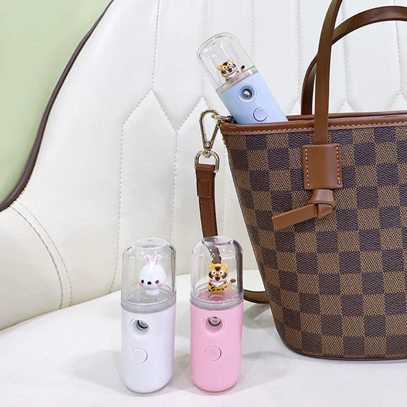 Pulvérisateur Facial USB Rechargeable