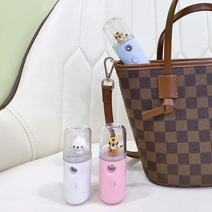 Pulvérisateur Facial USB Rechargeable