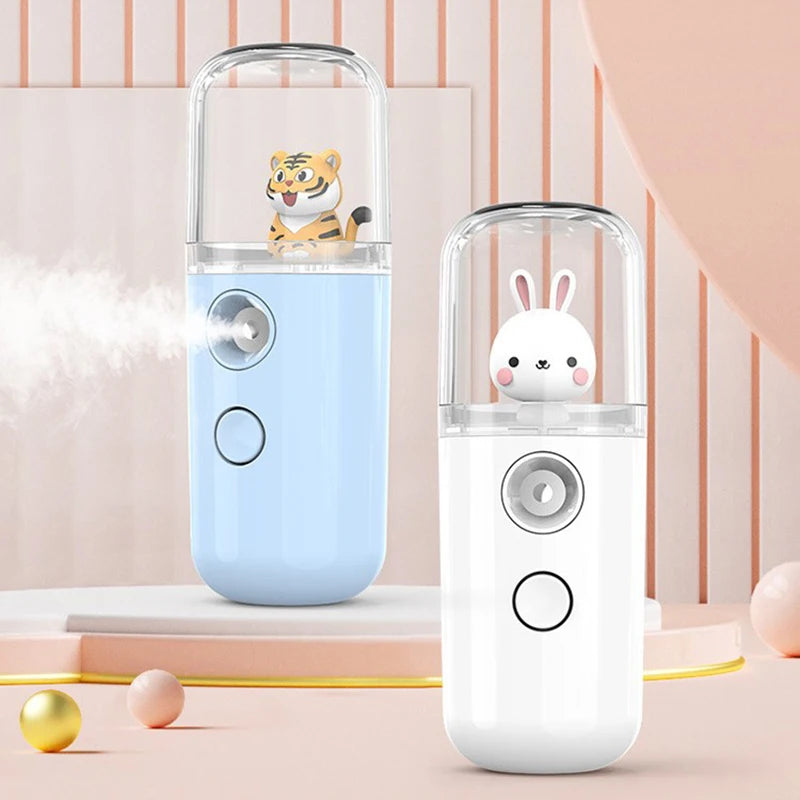 Pulvérisateur Facial USB Rechargeable