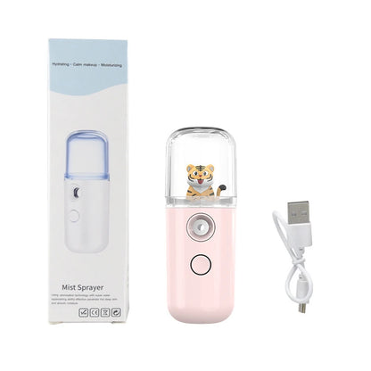 Pulvérisateur Facial USB Rechargeable