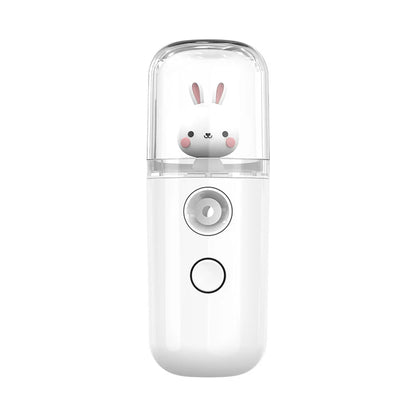 Pulvérisateur Facial USB Rechargeable