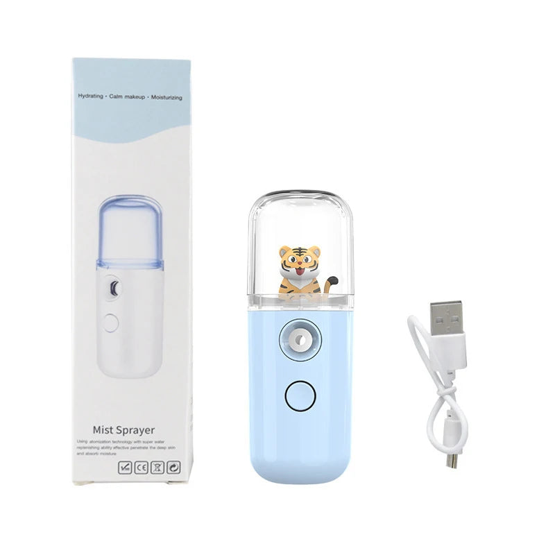 Pulvérisateur Facial USB Rechargeable