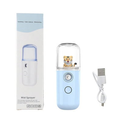 Pulvérisateur Facial USB Rechargeable