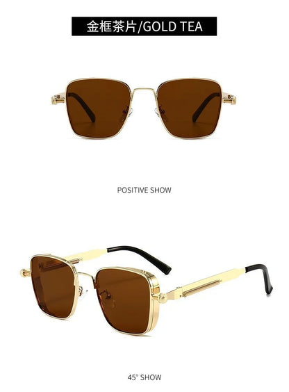 Lunettes de Soleil Homme Polarisées Métal Style Punk UV400